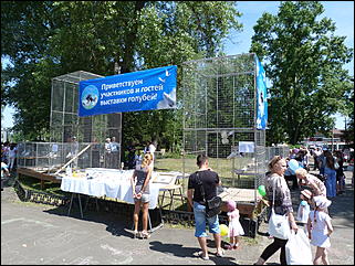 1 июнь 2012 г., Барнаул   День защиты детей в Барнауле