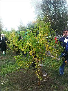 17 сентября 2009 г., Барнаул   Закладка "Аллеи будущего" в Барнауле