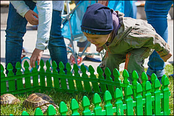 1 июнь 2016 г., Барнаул © Амител Вячеслав Мельников   На лодке в фонтане: как празднуют День защиты детей в Барнауле? 