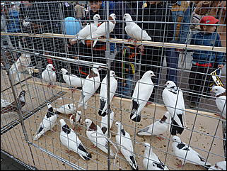 27 августа 2011 г., Барнаул   Барнаул празднует 281-ый день рождения