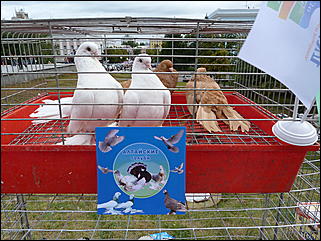 27 августа 2011 г., Барнаул   Барнаул празднует 281-ый день рождения