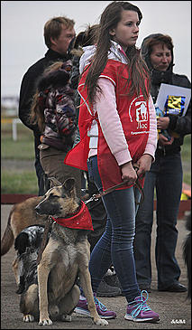 6  октябрь 2013 г., Барнаул   Праздник "Право на собаку"