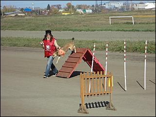 6  октябрь 2013 г., Барнаул   Праздник "Право на собаку"