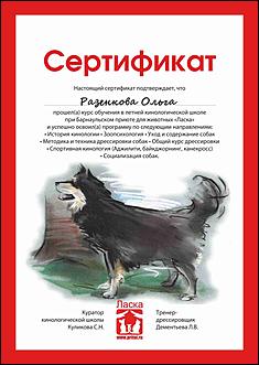 6  октябрь 2013 г., Барнаул   Праздник "Право на собаку"
