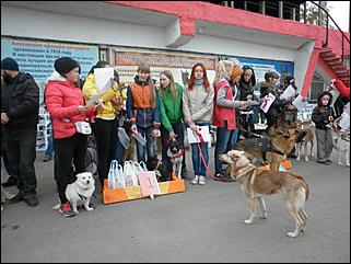 6  октябрь 2013 г., Барнаул   Праздник "Право на собаку"