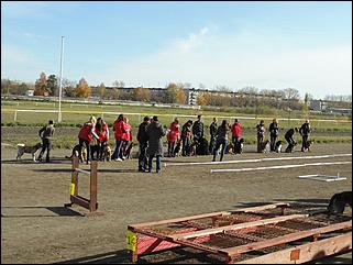 6  октябрь 2013 г., Барнаул   Праздник "Право на собаку"