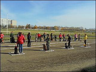 6  октябрь 2013 г., Барнаул   Праздник "Право на собаку"