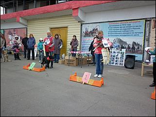 6  октябрь 2013 г., Барнаул   Праздник "Право на собаку"