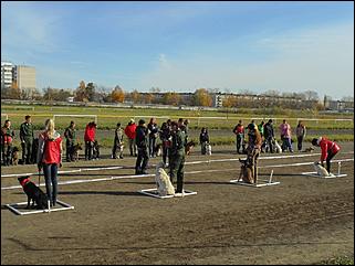 6  октябрь 2013 г., Барнаул   Праздник "Право на собаку"