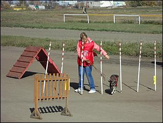 6  октябрь 2013 г., Барнаул   Праздник "Право на собаку"