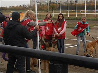 6  октябрь 2013 г., Барнаул   Праздник "Право на собаку"