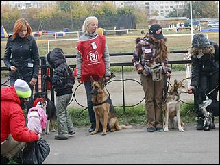 6  октябрь 2013 г., Барнаул   Праздник "Право на собаку"