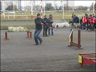 6  октябрь 2013 г., Барнаул   Праздник "Право на собаку"