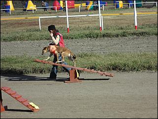 6  октябрь 2013 г., Барнаул   Праздник "Право на собаку"