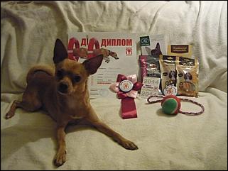 6  октябрь 2013 г., Барнаул   Праздник "Право на собаку"