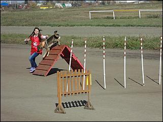 6  октябрь 2013 г., Барнаул   Праздник "Право на собаку"