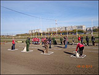 6  октябрь 2013 г., Барнаул   Праздник "Право на собаку"