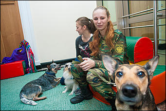 8 ноябрь 2016 г., Барнаул © Амител Вячеслав Мельников   Как проходил Марафон "Поддержим ребенка"