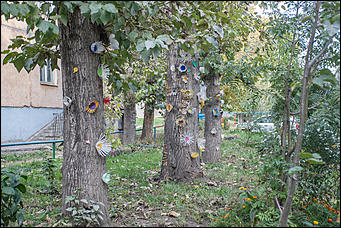 30 сентябрь 2016 г., Барнаул © Амител Вячеслав Мельников   Дворики Барнаула: фотопрогулка по родному городу