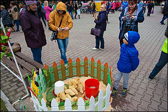 29 апрель 2016 г., Барнаул   Гастрономический фестиваль в Барнауле и какой пирог попал в Книгу рекордов России