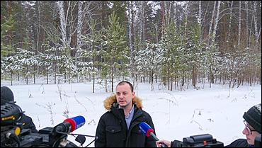 11 декабря   В лесу родилась елочка. Откуда берутся новогодние елки на Алтае и где их прячут до праздника