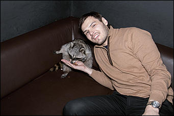 23 января 2016 г., Барнаул © Амител. Вячеслав Мельников   Как приручить зверя. В одном из заведений Барнаула поселился Енот