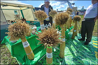 19 июня 2019 г., Алтайский край. Екатерина Смолихина   "Умная техника" и красивые девушки: как на Алтае открыли форум "День сибирского поля - 2019" 