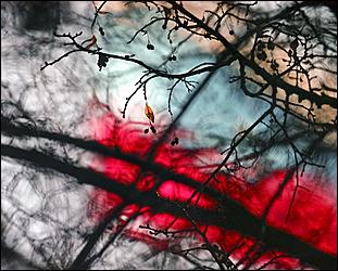 22 августа 2011 г., Барнаул   День российского флага