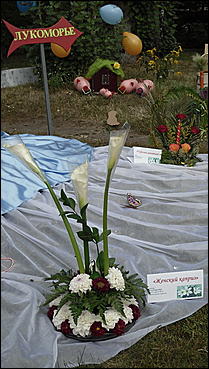 4 сентября 2010 г., Барнаул   Праздник цветов «Живет на свете красота»