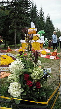 4 сентября 2010 г., Барнаул   Праздник цветов «Живет на свете красота»