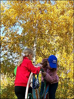 5 октября 2008 г., Барнаул   Праздник Осени в барнаульском дворе