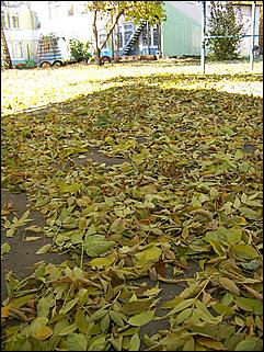 5 октября 2008 г., Барнаул   Праздник Осени в барнаульском дворе