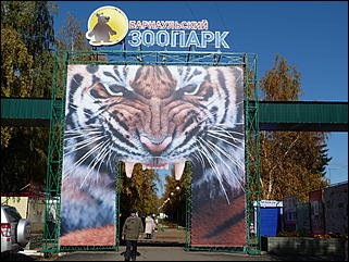 5 октябрь 2013 г., Барнаул   Открытие именной звезды ИА "Амител" в Барнаульском зоопарке