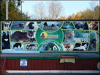 5 октябрь 2013 г., Барнаул   Открытие именной звезды ИА "Амител" в Барнаульском зоопарке