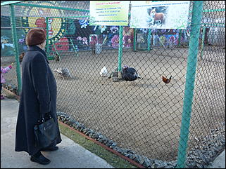 5 октябрь 2013 г., Барнаул   Открытие именной звезды ИА "Амител" в Барнаульском зоопарке