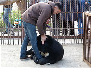 5 октябрь 2013 г., Барнаул   Открытие именной звезды ИА "Амител" в Барнаульском зоопарке