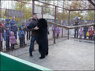 5 октябрь 2013 г., Барнаул   Открытие именной звезды ИА "Амител" в Барнаульском зоопарке