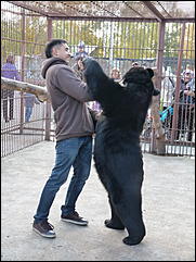 5 октябрь 2013 г., Барнаул   Открытие именной звезды ИА "Амител" в Барнаульском зоопарке