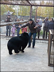 5 октябрь 2013 г., Барнаул   Открытие именной звезды ИА "Амител" в Барнаульском зоопарке