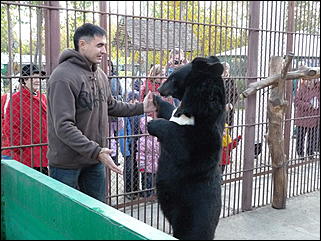 5 октябрь 2013 г., Барнаул   Открытие именной звезды ИА "Амител" в Барнаульском зоопарке