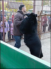 5 октябрь 2013 г., Барнаул   Открытие именной звезды ИА "Амител" в Барнаульском зоопарке