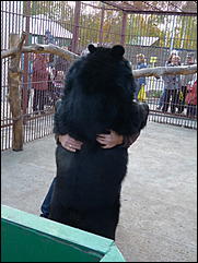 5 октябрь 2013 г., Барнаул   Открытие именной звезды ИА "Амител" в Барнаульском зоопарке