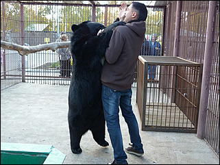 5 октябрь 2013 г., Барнаул   Открытие именной звезды ИА "Амител" в Барнаульском зоопарке