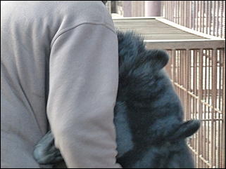 5 октябрь 2013 г., Барнаул   Открытие именной звезды ИА "Амител" в Барнаульском зоопарке