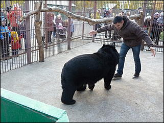 5 октябрь 2013 г., Барнаул   Открытие именной звезды ИА "Амител" в Барнаульском зоопарке