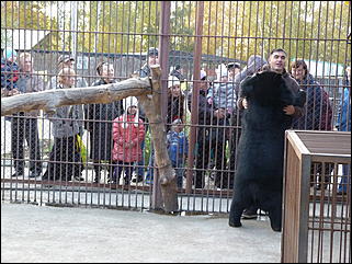 5 октябрь 2013 г., Барнаул   Открытие именной звезды ИА "Амител" в Барнаульском зоопарке