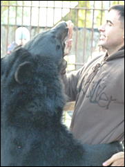 5 октябрь 2013 г., Барнаул   Открытие именной звезды ИА "Амител" в Барнаульском зоопарке