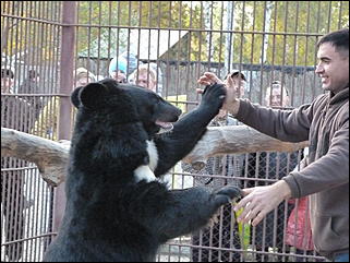 5 октябрь 2013 г., Барнаул   Открытие именной звезды ИА "Амител" в Барнаульском зоопарке