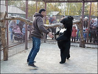 5 октябрь 2013 г., Барнаул   Открытие именной звезды ИА "Амител" в Барнаульском зоопарке