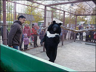 5 октябрь 2013 г., Барнаул   Открытие именной звезды ИА "Амител" в Барнаульском зоопарке